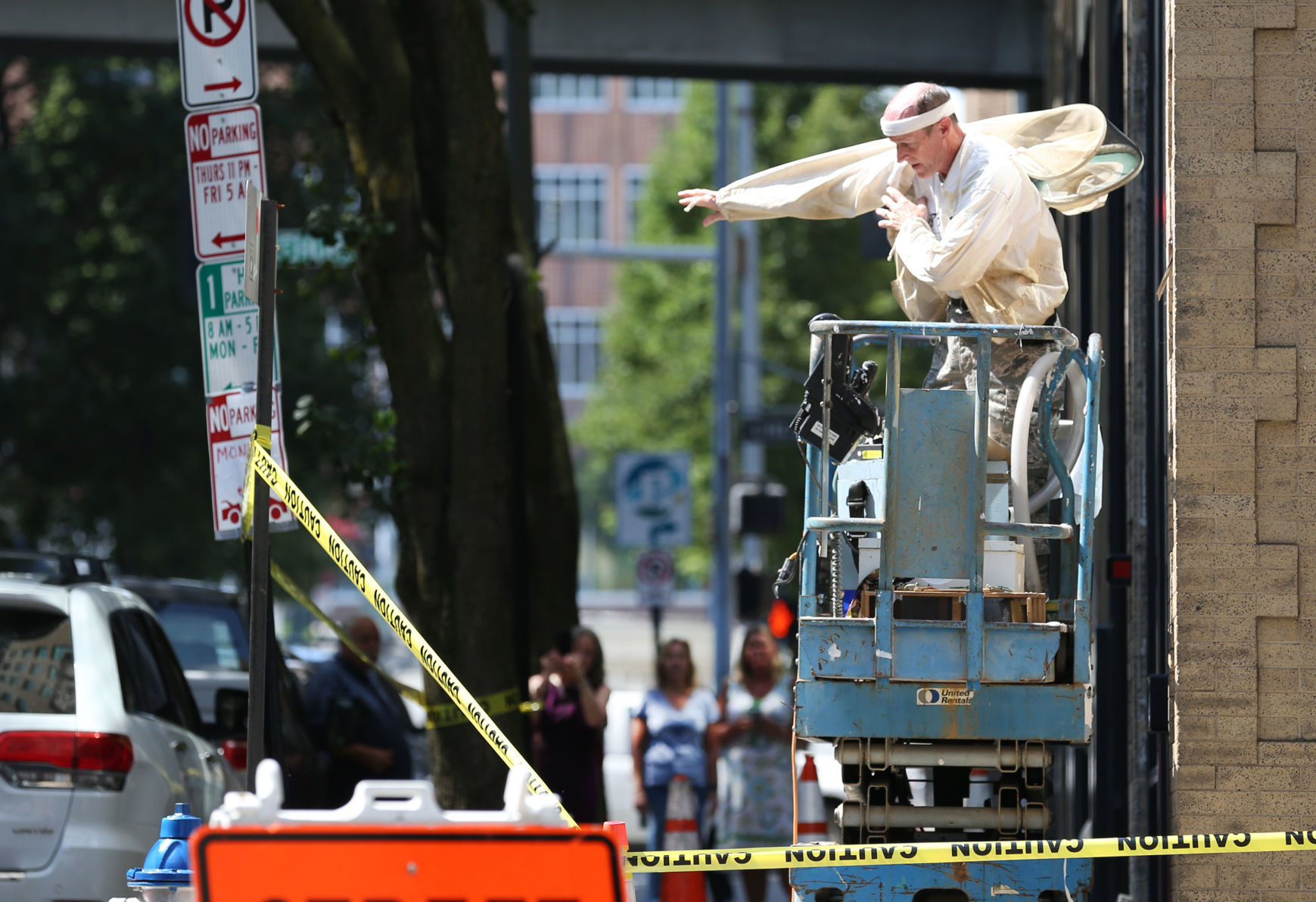 Honeybee removal